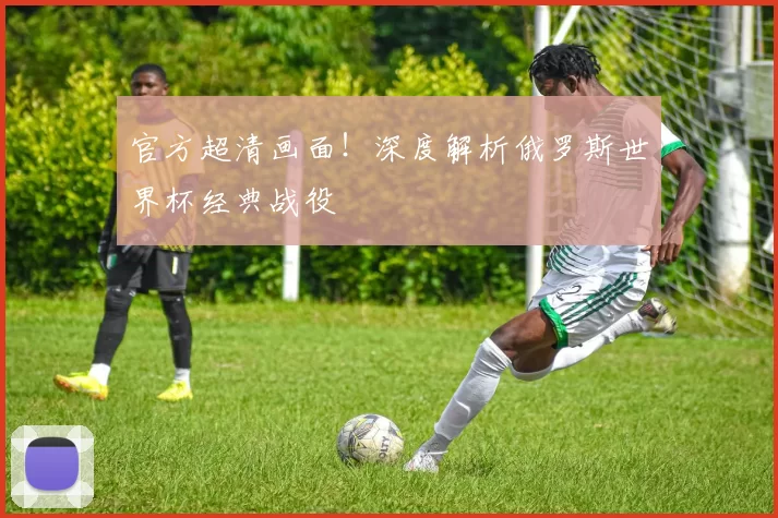 官方超清画面!深度解析俄罗斯世界杯经典战役
