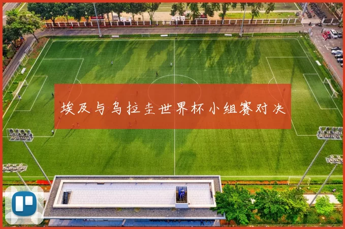 埃及与乌拉圭世界杯小组赛对决