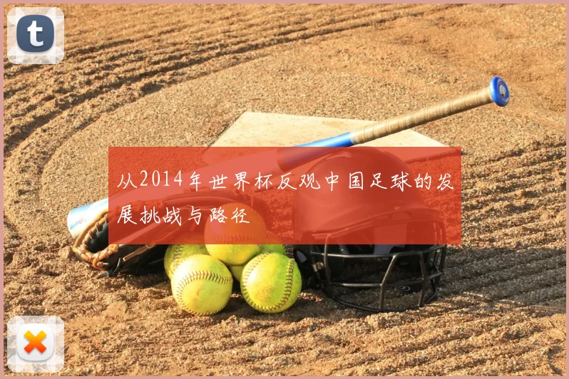 从2014年世界杯反观中国足球的发展挑战与路径