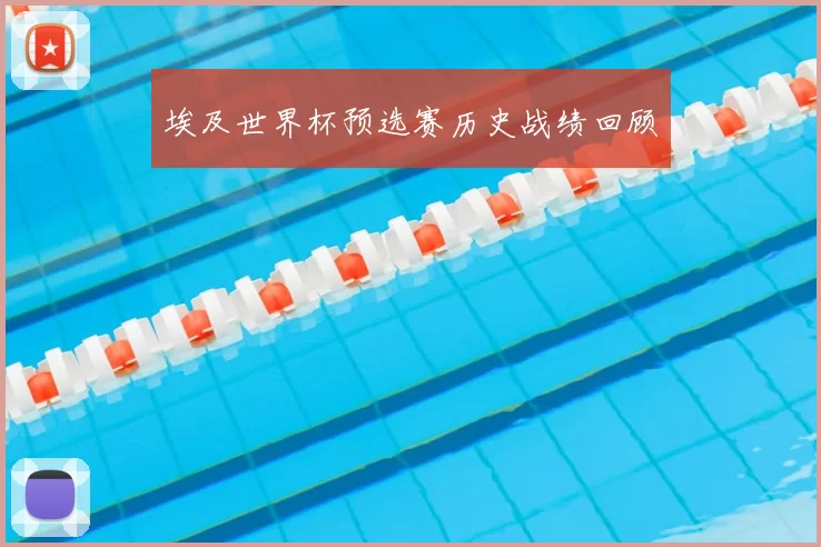 埃及世界杯预选赛历史战绩回顾