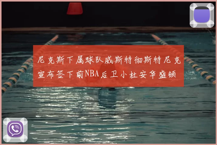 尼克斯下属球队威斯特彻斯特尼克宣布签下前NBA后卫小杜安华盛顿