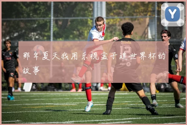 那年夏天我用乐视盒子追世界杯的故事