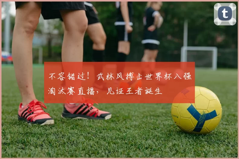 不容错过!武林风搏击世界杯八强淘汰赛直播,见证王者诞生