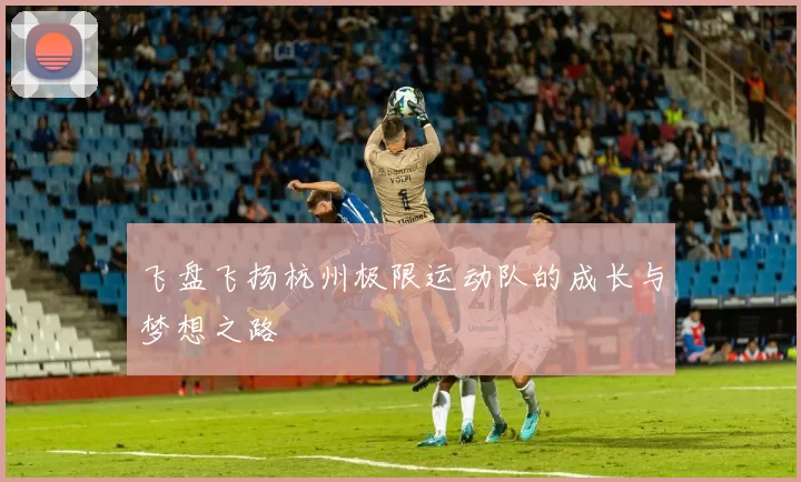 飞盘飞扬杭州极限运动队的成长与梦想之路
